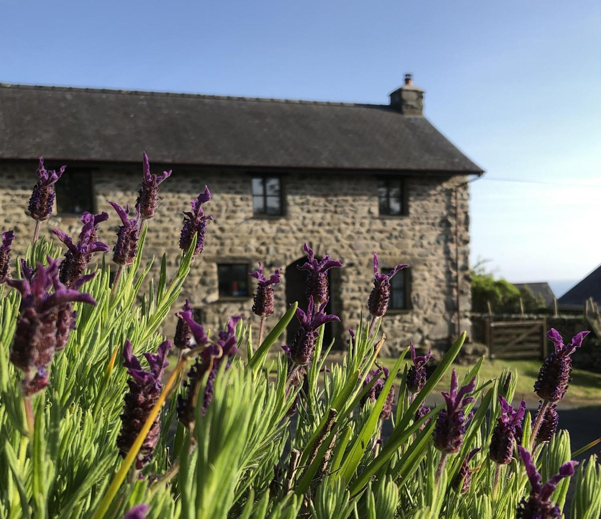 The Old Farmhouse B&B Dyffryn Ardudwy Εξωτερικό φωτογραφία